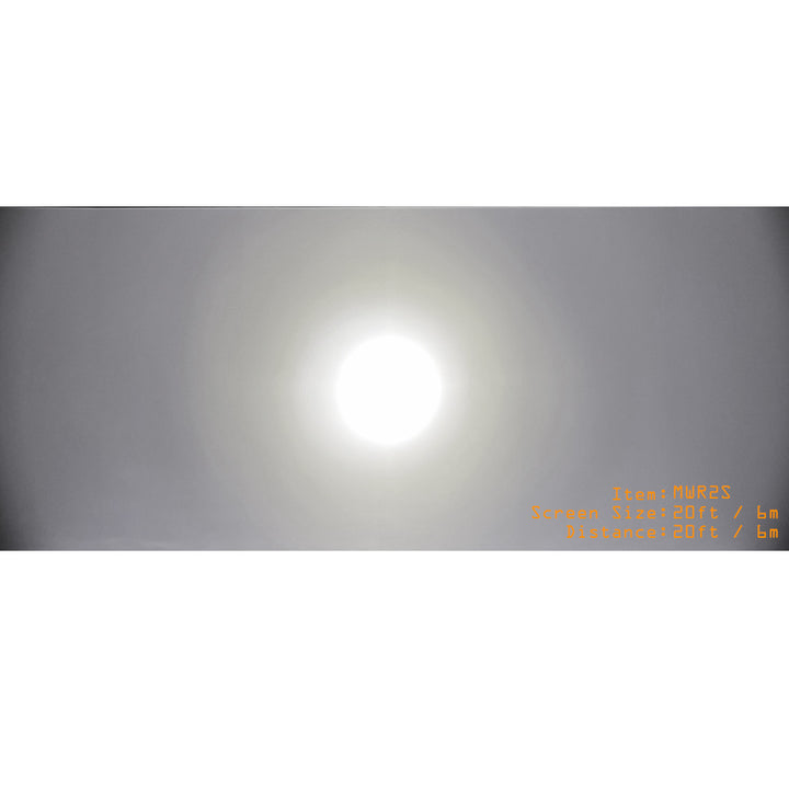 2" x 4" Oval 20W LED Worklight